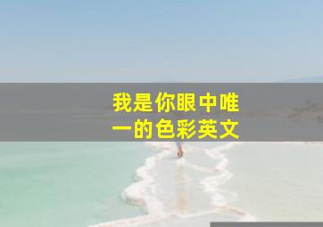 我是你眼中唯一的色彩英文