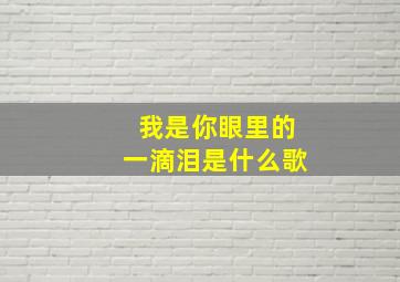 我是你眼里的一滴泪是什么歌