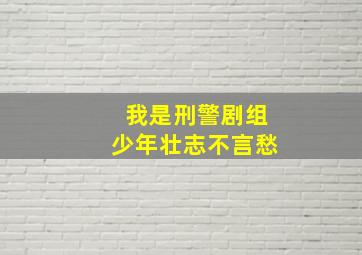 我是刑警剧组少年壮志不言愁