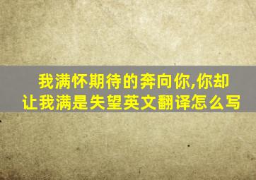 我满怀期待的奔向你,你却让我满是失望英文翻译怎么写