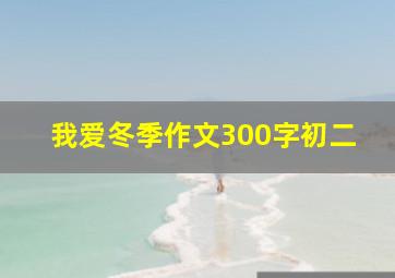 我爱冬季作文300字初二