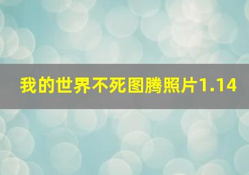 我的世界不死图腾照片1.14