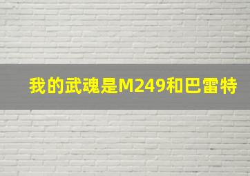 我的武魂是M249和巴雷特