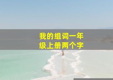 我的组词一年级上册两个字