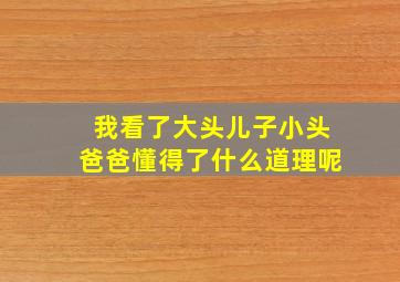 我看了大头儿子小头爸爸懂得了什么道理呢