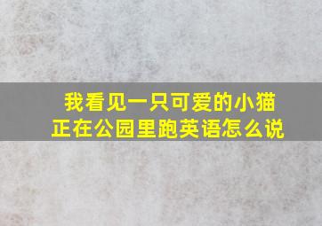 我看见一只可爱的小猫正在公园里跑英语怎么说