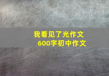 我看见了光作文600字初中作文