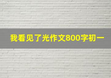 我看见了光作文800字初一