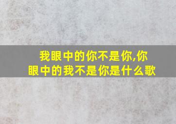 我眼中的你不是你,你眼中的我不是你是什么歌