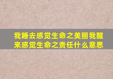 我睡去感觉生命之美丽我醒来感觉生命之责任什么意思