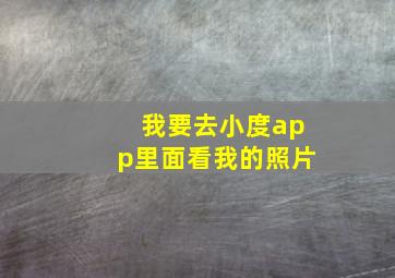 我要去小度app里面看我的照片