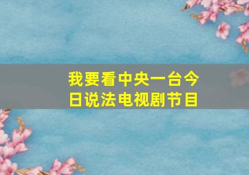 我要看中央一台今日说法电视剧节目