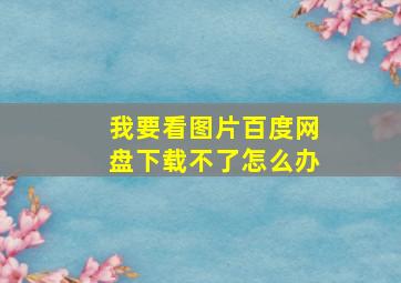 我要看图片百度网盘下载不了怎么办