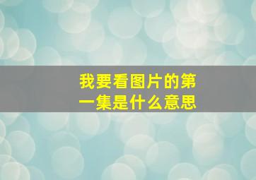 我要看图片的第一集是什么意思