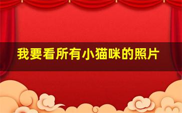 我要看所有小猫咪的照片