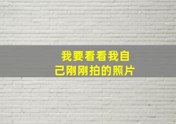 我要看看我自己刚刚拍的照片