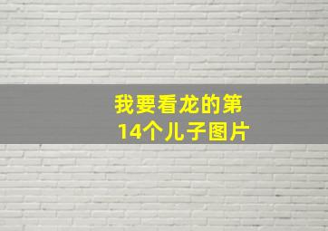 我要看龙的第14个儿子图片