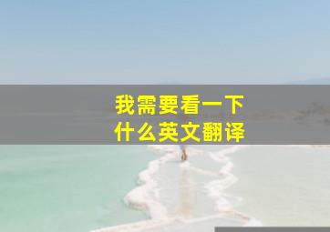 我需要看一下什么英文翻译