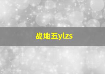 战地五ylzs