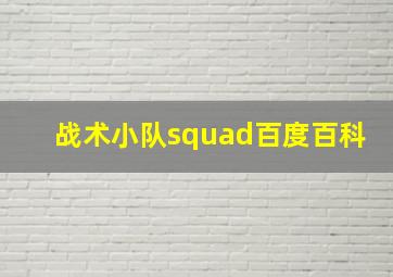 战术小队squad百度百科