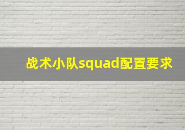 战术小队squad配置要求