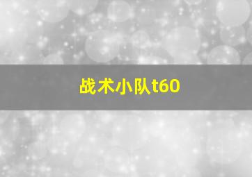 战术小队t60