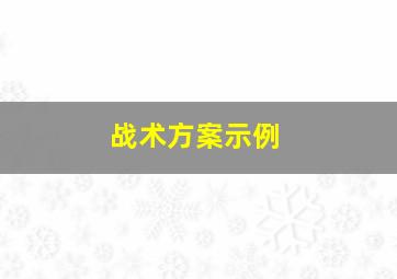 战术方案示例