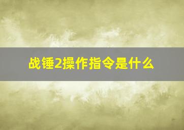 战锤2操作指令是什么