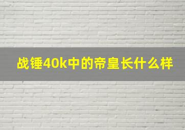 战锤40k中的帝皇长什么样