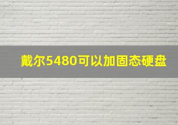 戴尔5480可以加固态硬盘