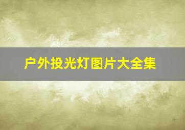 户外投光灯图片大全集