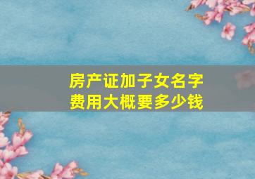 房产证加子女名字费用大概要多少钱