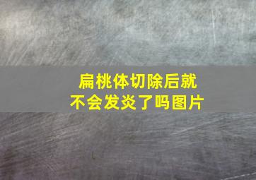 扁桃体切除后就不会发炎了吗图片