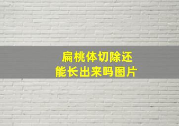 扁桃体切除还能长出来吗图片