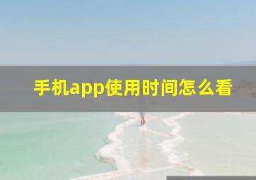 手机app使用时间怎么看