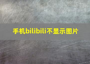 手机bilibili不显示图片