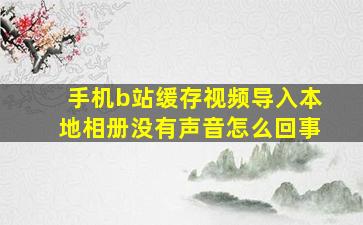 手机b站缓存视频导入本地相册没有声音怎么回事