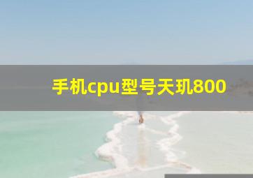 手机cpu型号天玑800