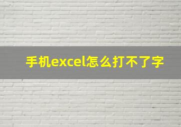 手机excel怎么打不了字