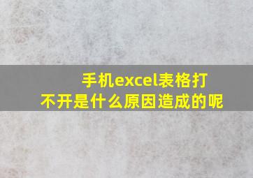 手机excel表格打不开是什么原因造成的呢