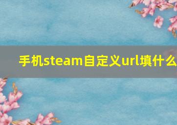 手机steam自定义url填什么