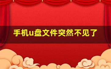 手机u盘文件突然不见了