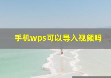 手机wps可以导入视频吗