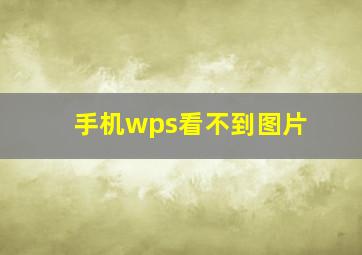 手机wps看不到图片