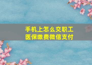 手机上怎么交职工医保缴费微信支付