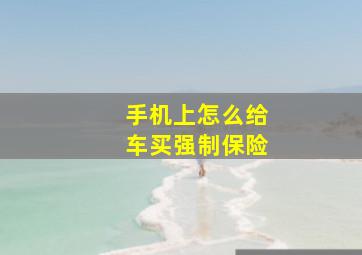 手机上怎么给车买强制保险