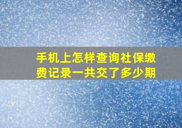 手机上怎样查询社保缴费记录一共交了多少期