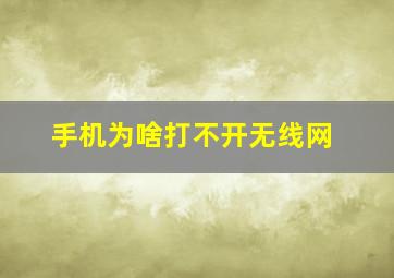 手机为啥打不开无线网