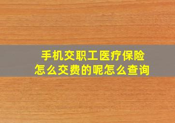 手机交职工医疗保险怎么交费的呢怎么查询