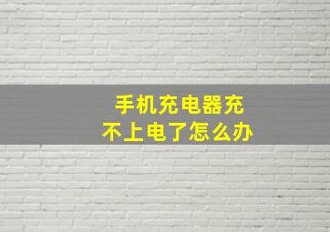 手机充电器充不上电了怎么办